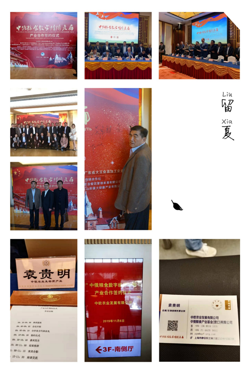 图片 13.png